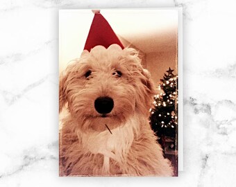 Goldendoodle Christmas Card, Dog X-mas Card, Print Your Own, A1 or A2 Card, Instant Download, Printable Christmas Card, Templett