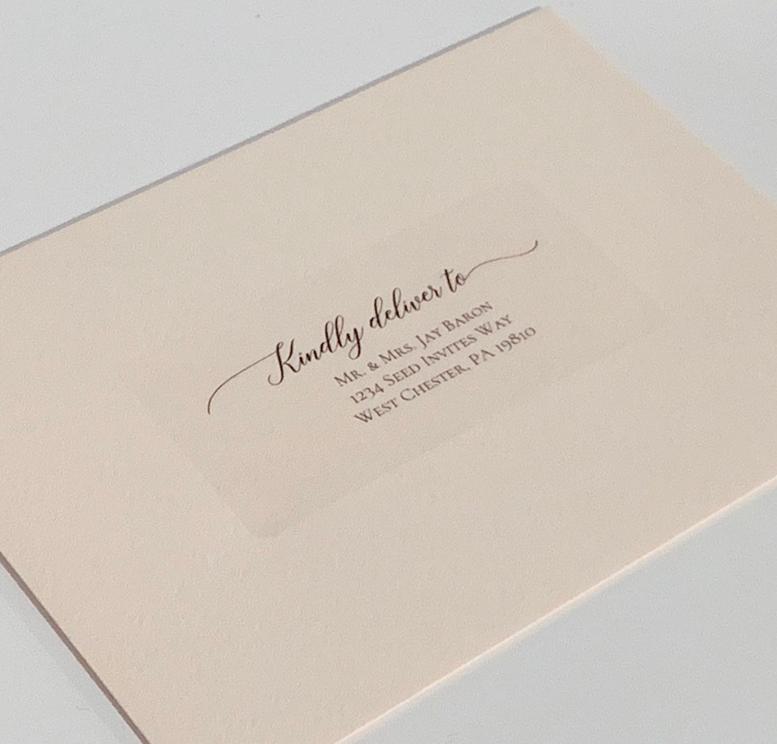 Clear Address Labels Guest Recipient Labels Calligraphy Etsy