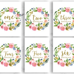Cartes du mois - cartes jalons - petite fille - roses fleurs colorées or rose - imprimable modifiable téléchargement instantané JPEG PDF