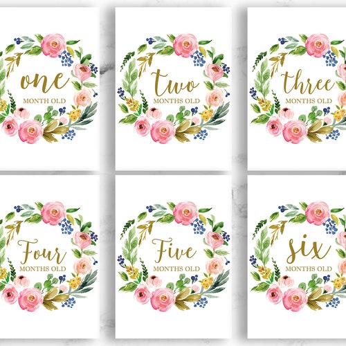 Floral Baby Milestone Cards Printable Baby's First - Etsy