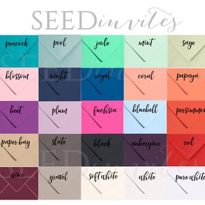 Pode incluir: Um gr&aacute;fico de 25 envelopes de cores diferentes com o nome da cor escrito em preto em cada envelope. As cores incluem pav&atilde;o, piscina, jade, menta, s&aacute;lvia, flor, noite, real, coral, papaia, beterraba, ameixa, f&uacute;csia, sininho, caqui, saco de papel, ard&oacute;sia, preto, berinjela, vermelho, vinho, cascalho, branco suave, branco e branco puro.