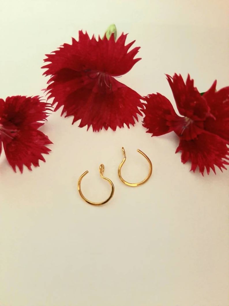 Pu&ograve; includere: Due orecchini a cerchio in oro con un semplice design martellato. Gli orecchini sono fotografati su uno sfondo bianco con garofani rossi.