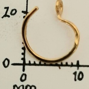 Pu&ograve; includere: Un gancio per orecchini dorato con un piccolo anello in cima. Il gancio ha un diametro di circa 10 mm.