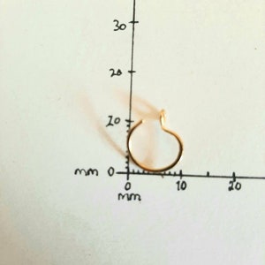 Pu&ograve; includere: Un anello per il naso in oro con un diametro di circa 8 mm, misurato con un righello.