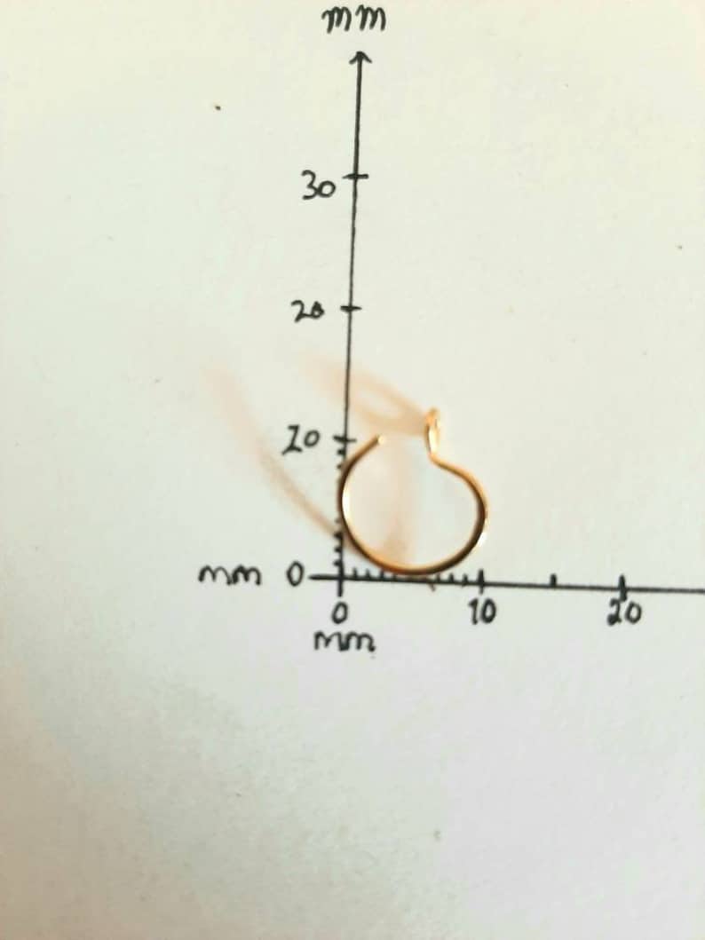 Pu&ograve; includere: Un anello per il naso in oro con un diametro di circa 8 mm, misurato con un righello.