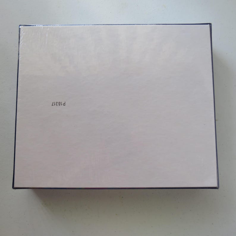 May include: A rectangular box with a light, off-white surface and a dark border. The text "P18317" is printed in black in the lower left corner. The box appears to be new and unused.