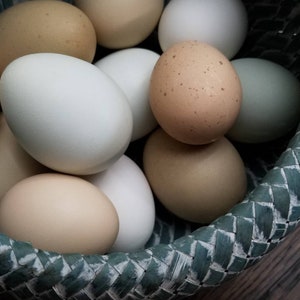 May include: A woven basket filled with a variety of fresh eggs. The eggs vary in color, including white, light brown, and speckled. The basket is a teal color and has a woven design.