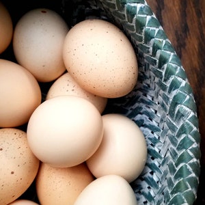 Hand Blown Bantam Chicken Eggs | Farmhouse Easter Decor