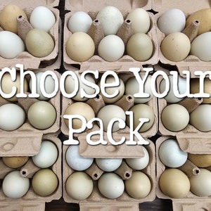 Hand Blown Easter Eggs {Exact Lot} Farmhouse Kitchen Decor, Pysanky, Real Natural Empty Preserved Primitive Chicken Eggs // Ready to Ship