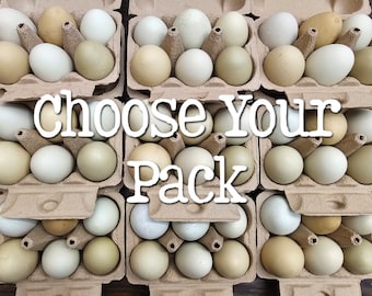 Hand Blown Easter Eggs {Exact Lot} Farmhouse Kitchen Decor, Pysanky, Real Natural Empty Preserved Primitive Chicken Eggs // Ready to Ship