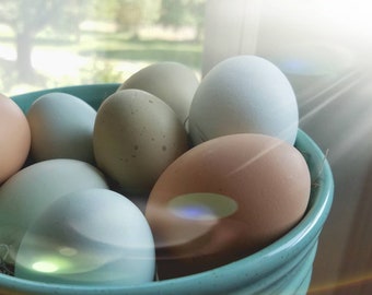 Hand Blown Chicken Eggs | Light Mix, Farmhouse Easter Decor