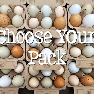 Hand Blown Easter Eggs {Exact Lot} Farmhouse Kitchen Decor, Pysanky, Real Natural Empty Preserved Primitive Chicken Eggs // Ready to Ship