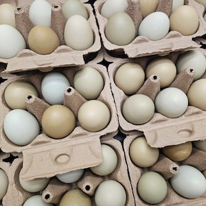 May include: A close-up of a carton of brown and white eggs. The eggs are arranged in rows and are all different sizes and shapes.