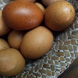 May include: A close-up of a basket filled with brown eggs. The eggs have a speckled texture and are arranged in a woven basket.