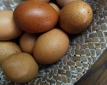 Hand Blown Easter Eggs | Speck-tacular Mix | Farmhouse Kitchen Home Decor, Pysanky, Real Natural Blown Out, Preserved Primitive Chicken Eggs