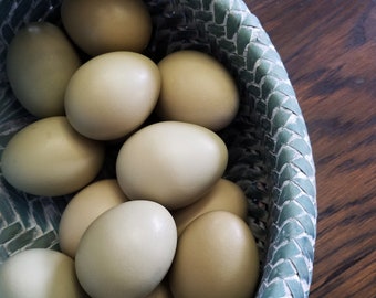 Hand Blown Bantam Olive Chicken Eggs | Farmhouse Easter Decor