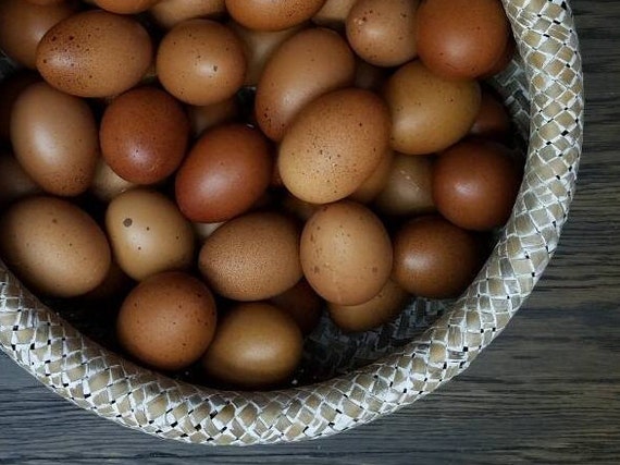 How to Use Bantam Eggs