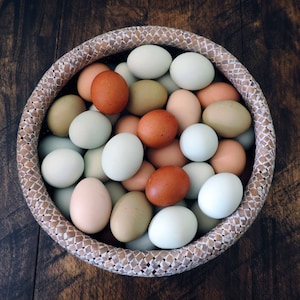 Hand Blown Easter Eggs | Medium Mix | Farmhouse Kitchen Home Decor, Pysanky, Real Natural Blown Out, Preserved Primitive Chicken Eggs