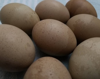 Hand Blown Easter Eggs {Camo Eggs}  Farmhouse Kitchen Home Decor, Pysanky, Real Natural Blown Out, Preserved Primitive Chicken Eggs