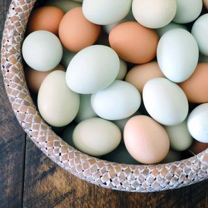 Hand Blown Easter Eggs | Light Mix | Farmhouse Kitchen Home Decor, Pysanky, Real Natural Blown Out, Preserved Primitive Chicken Eggs