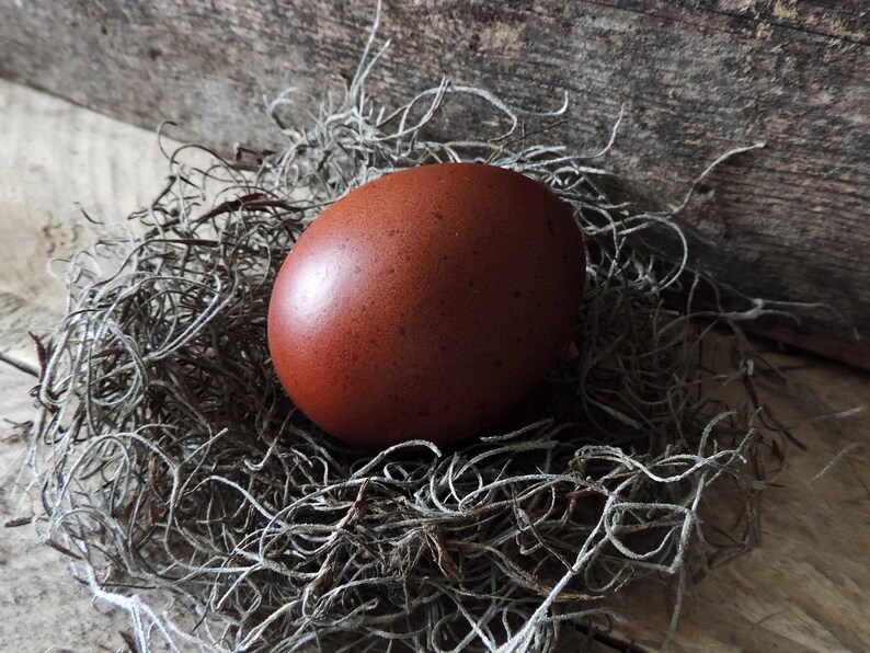 Hand Blown Chicken Easter Eggs Dark Mix Farmhouse Kitchen Home Decor, Pysanky, Real Natural Blown Out, Preserved Primitive Chicken Eggs image 5