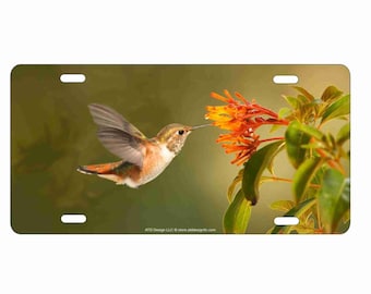 colorful Hummingbird personalized novelty front license plate Decorative Vanity aluminum car tag