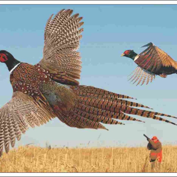 Decorative Pheasant Etsy