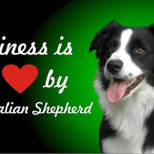 May include: Black and white Australian Shepherd dog with a red heart and the text "Happiness is being by an Australian Shepherd" on a black and green background.