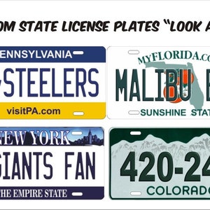 Custom Novelty front License Plate Any State vanity Decorative front Automotive Plate