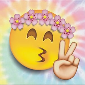 Emoji smiley face blowing a kiss peace sign Personalized Custom Novelty front License Plate