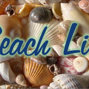 BEACH LIFE Personalized Custom Novelty front License Plate Decorative vanity Beach Camo sea shells car tag