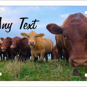 Beef Cattle Farm license plate personalized novelty Cow Farm Decorative Vanity car tag