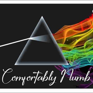 Comfortably Numb Personalized Dark side of the Moon customized novelty Front License Plate Decorative Aluminum Sign