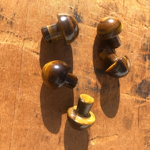 Tigers Eye Mini Mushroom