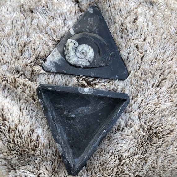 Fossil Jewelry Box, Orthoceras, Ammonite, Trinket… - image 5