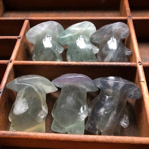 Fluorite Mushroom Spirits, Crystal Mushrooms