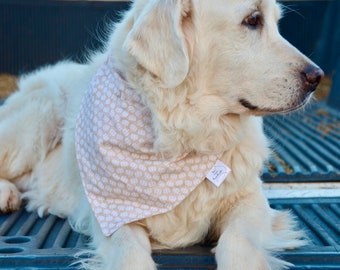 Cream Pumpkins Bandana