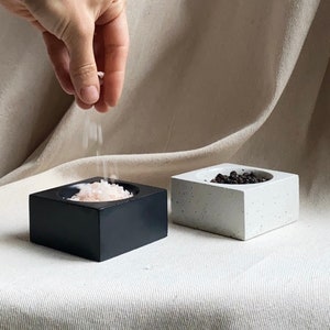 CYBUS - set of 2 salt and pepper pinch bowls | decorative bowls | small concrete bowls | jewelry display | concrete decor | picture props
