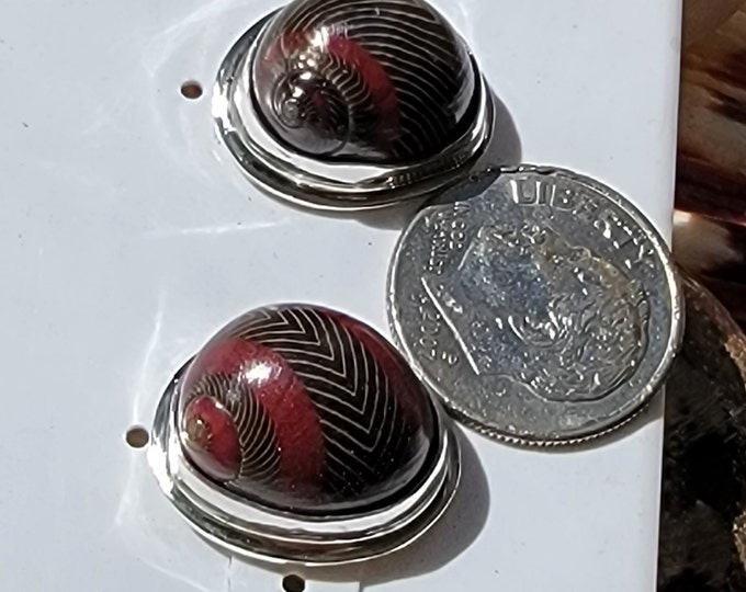 Periwinkle stud earring, handmade, bezel set in fine silver