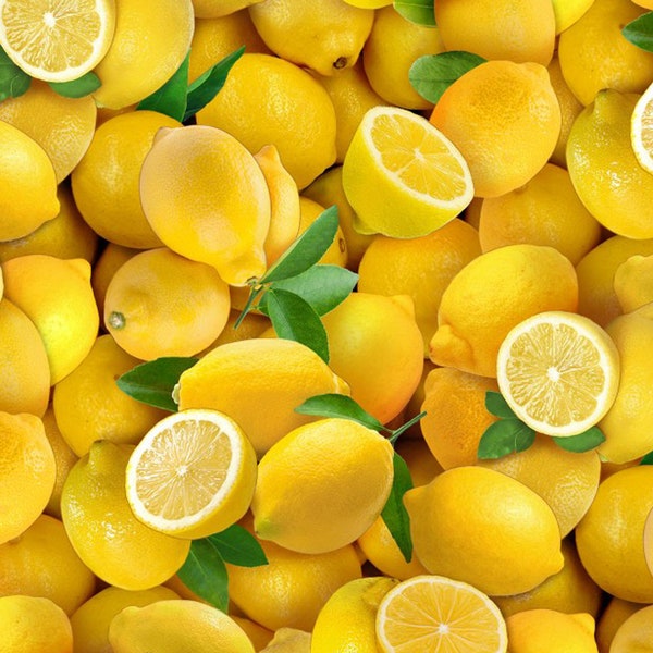 Realistic Lemons Fabric, Elizabeth Studio Food Festival 483 Yellow, Citrus Fruit, Kitchen Fabric, Food Quilt Fabric, 100% Cotton