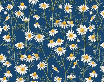 White Daisies Fabric, Coneflower, In The Beginning Fabrics Hedgehog Hollow 9HH-1 Blue, White Floral Quilt Fabric, 100% Cotton