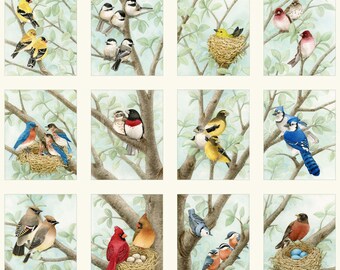 Elizabeths Studio Feathered Friends Bird Scenes Blue Pink Cotton Fabric PANEL