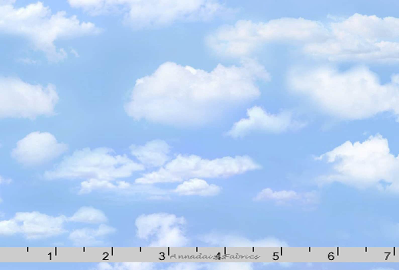 Blue Sky Fabric Cloud Fabric Elizabeths Studio Landscape Etsy