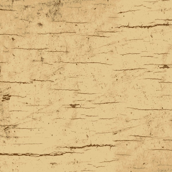 Tan Tree Bark Fabric, Henry Glass Moose Lodge HEG6617 33, Jan Shade Beach, Birch Wood Grain, Landscape Quilt  Fabric, Cotton, Fat Quarter