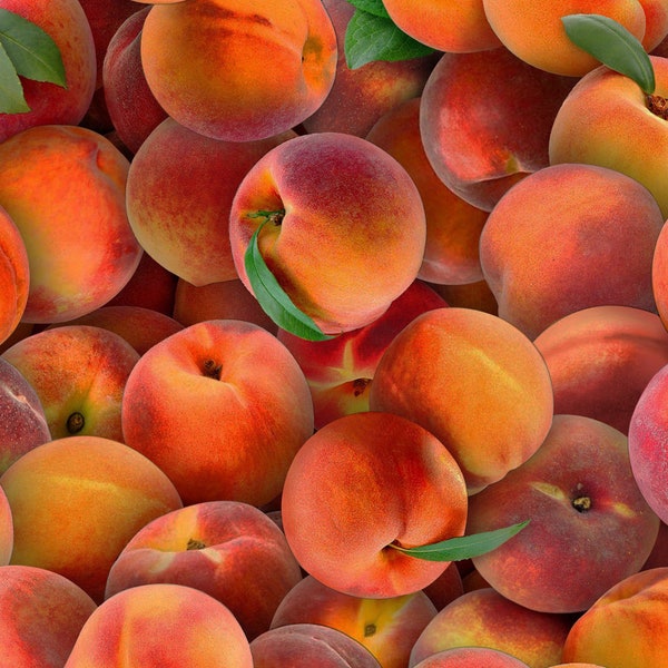 Realistic Peach Fabric, Elizabeth Studio Food Festival 578 Peaches Fruit Fabric, Cooking Fabric, Food Quilt Fabric by the Yard, 100% Cotton