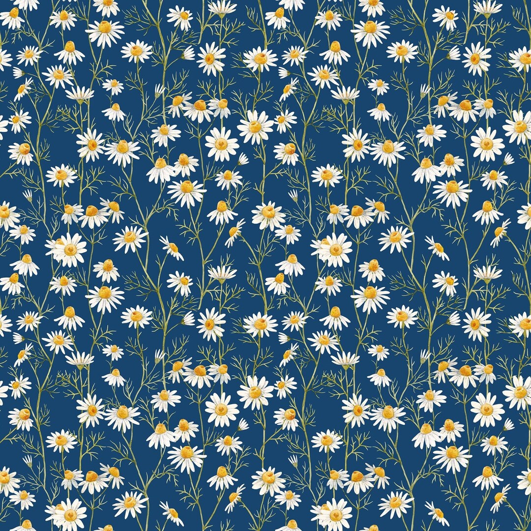 White Daisies Fabric, Coneflower, in the Beginning Fabrics Hedgehog