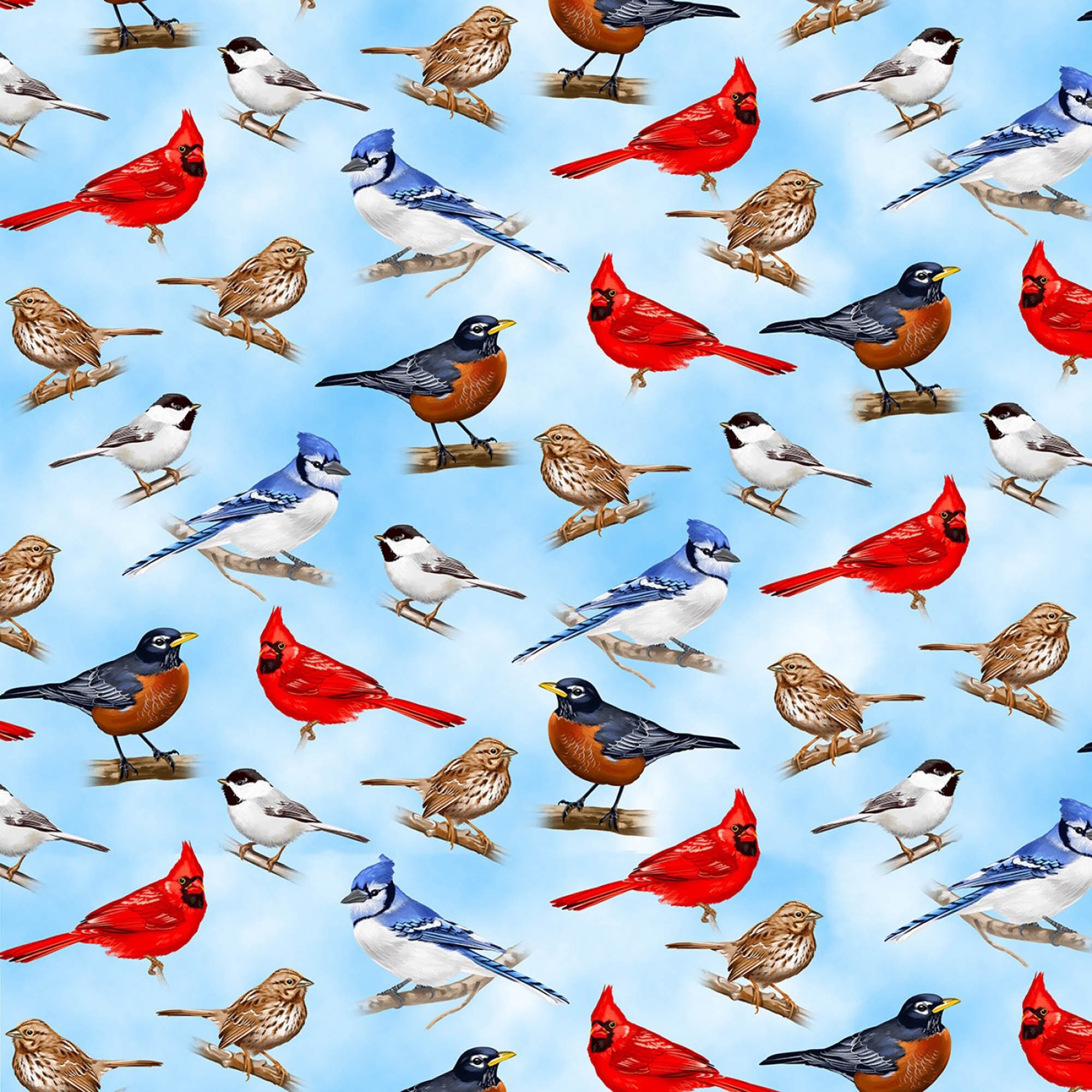 Realistic Birds Fabric Cardinal Robin Bluejay Chickadee -  Ireland