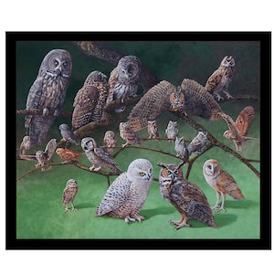 Realistic Owls Fabric Panel, Elizabeth Studio Owls of North America, Owl Quilt Fabric Panel, One Panel, 22" wide x 17" tall, 100% Cotton