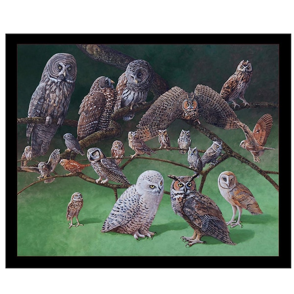 Realistic Owls Fabric Panel, Elizabeth Studio Owls of North America, Owl Quilt Fabric Panel, One Panel, 22" wide x 17" tall, 100% Cotton