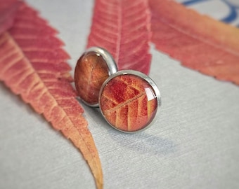 Pendientes de hoja de arce roja auténtica en miniatura: pendientes de botón con flores prensadas, recuerdo canadiense